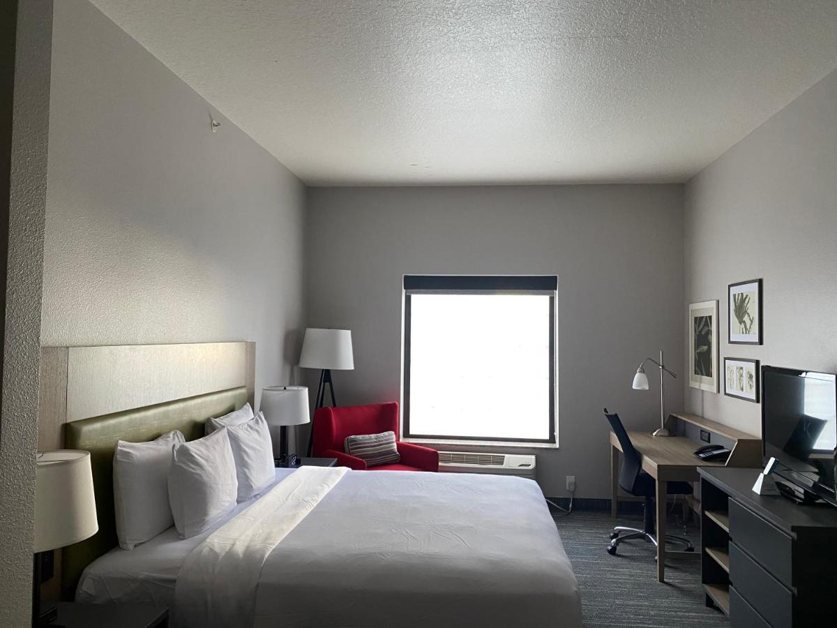 King Room with Roll-In Shower - Disability Access,1083422254:JPEG