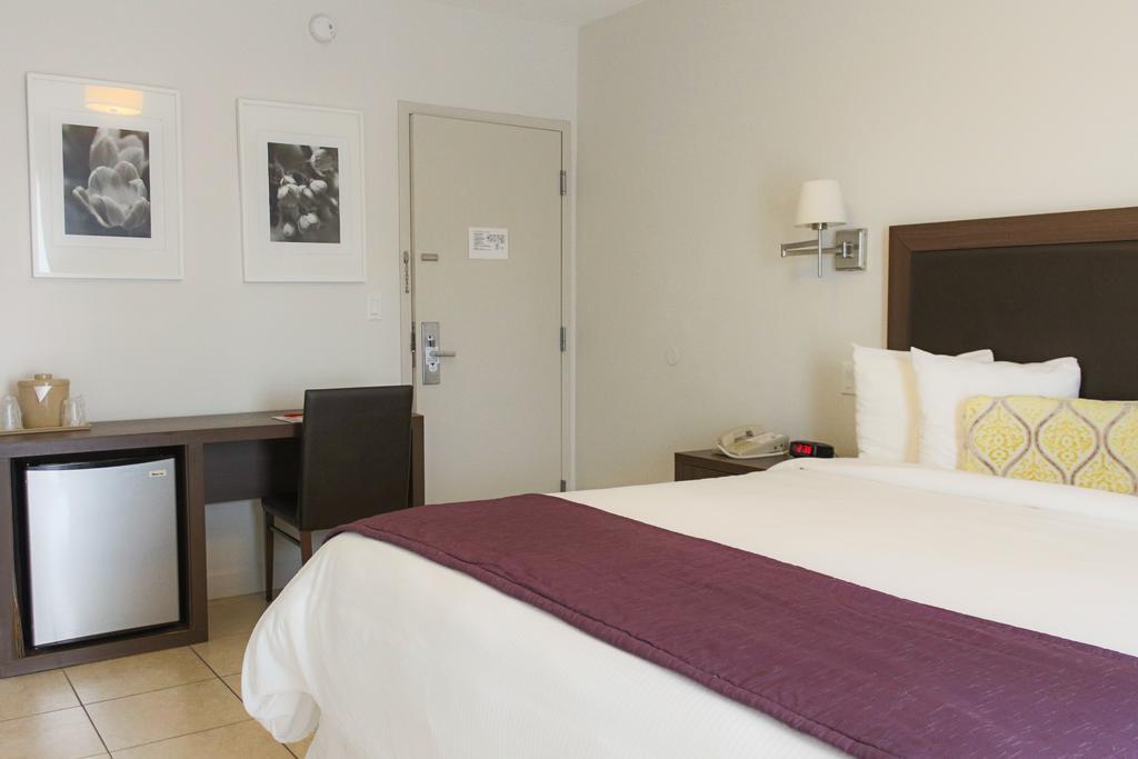 Standard King Room - No Resort Fee,112795779:JPEG