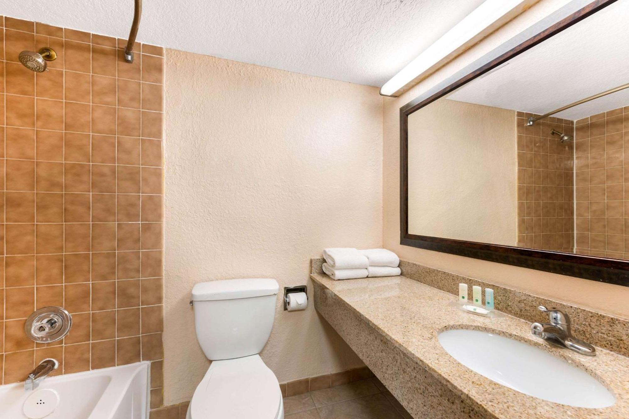One-Bedroom Queen Suite with Sofa Bed - Non-Smoking,1276303900:JPEG