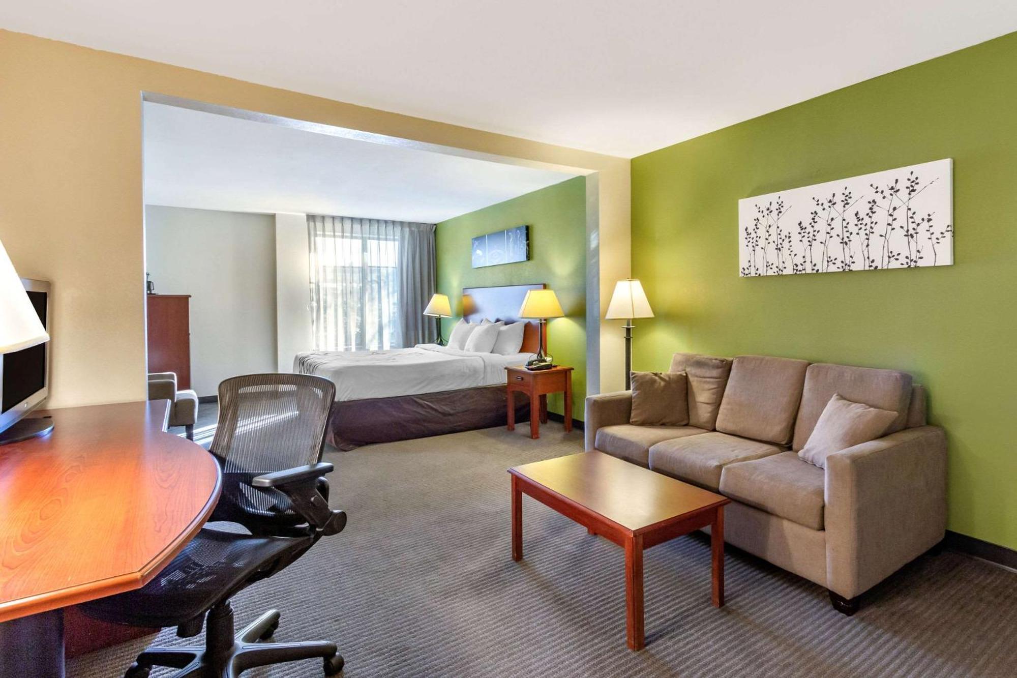 King Suite with Sofa Bed - Non-Smoking