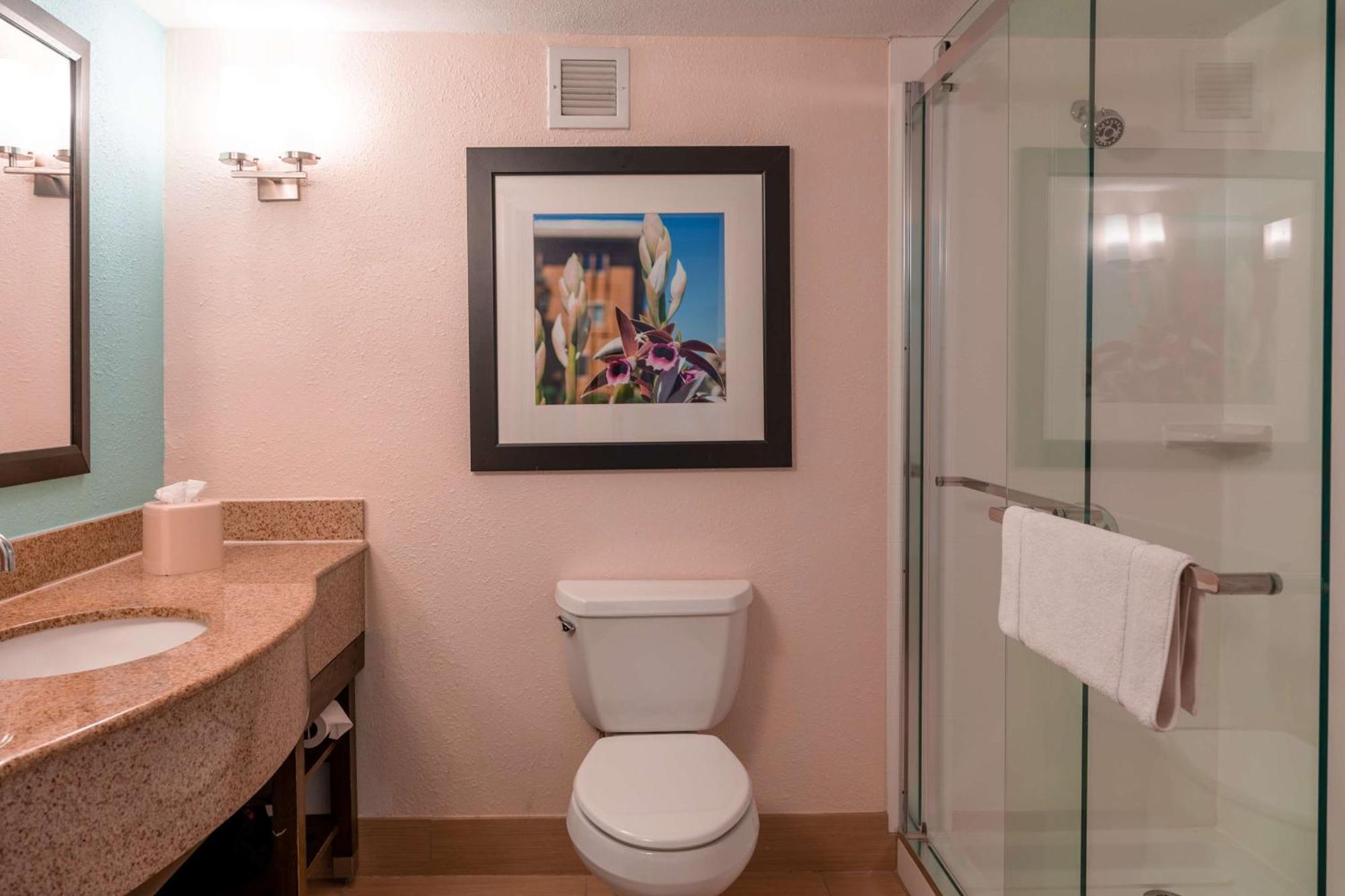 King Room,1276667809:JPEG