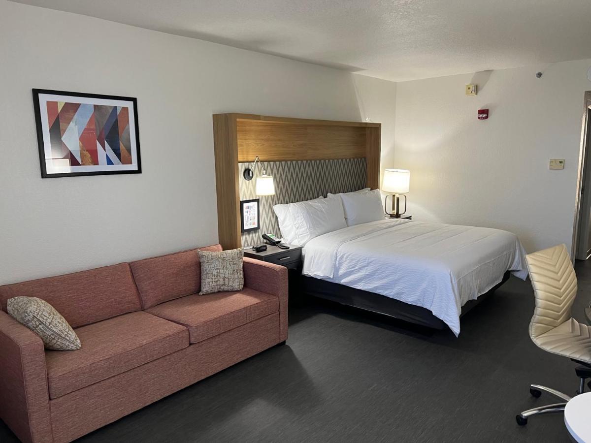 Habitación con cama extragrande y sofá cama