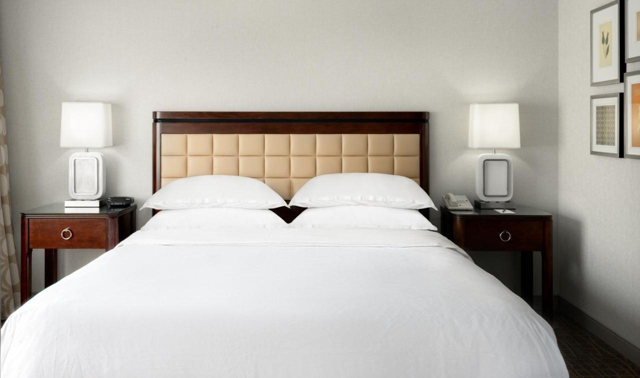 1 Bedroom Suite 1 King Sofa bed