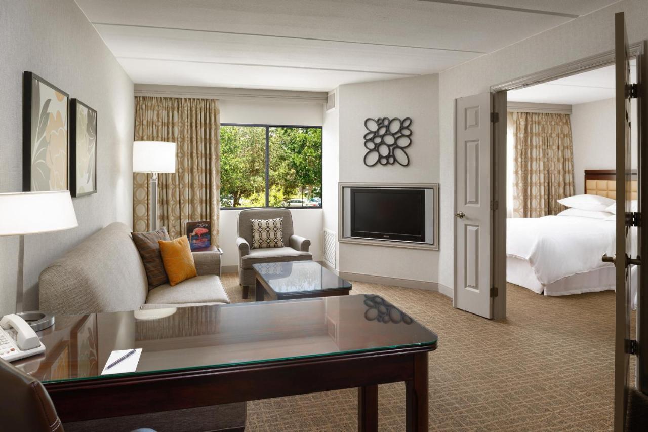 1 Bedroom Suite 1 King Sofa bed