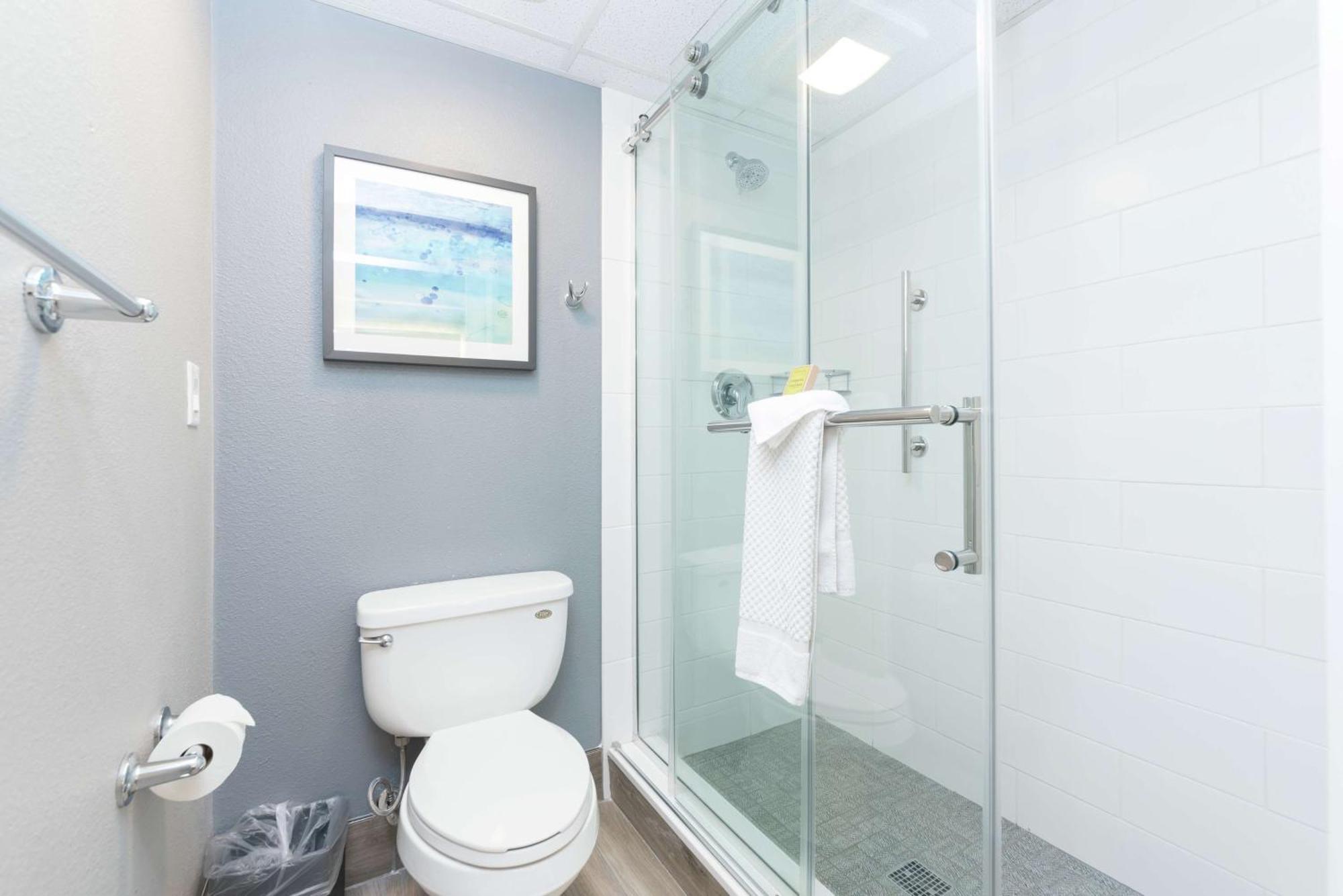 One-Bedroom King Suite