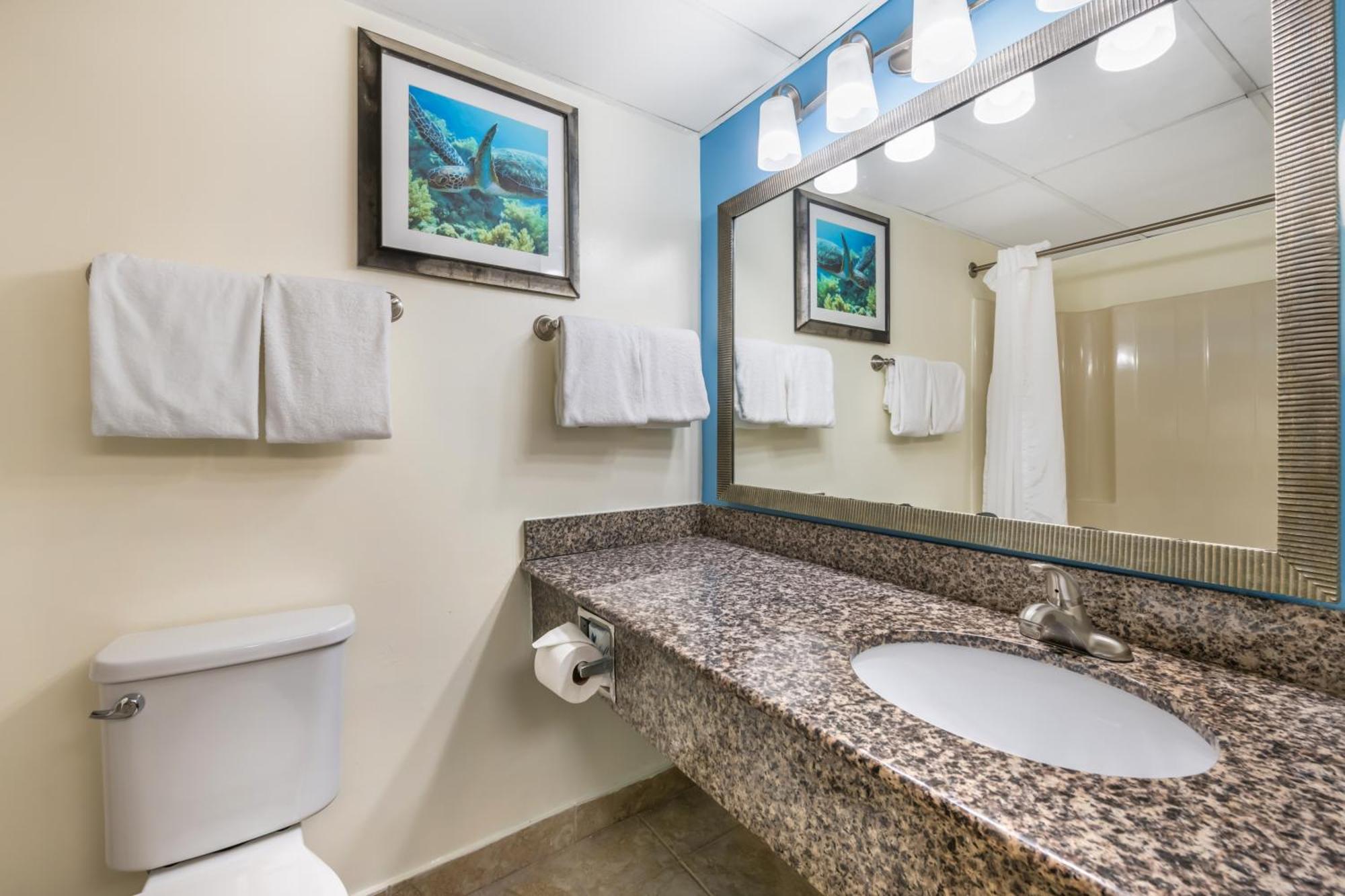 King Room Partial Ocean View