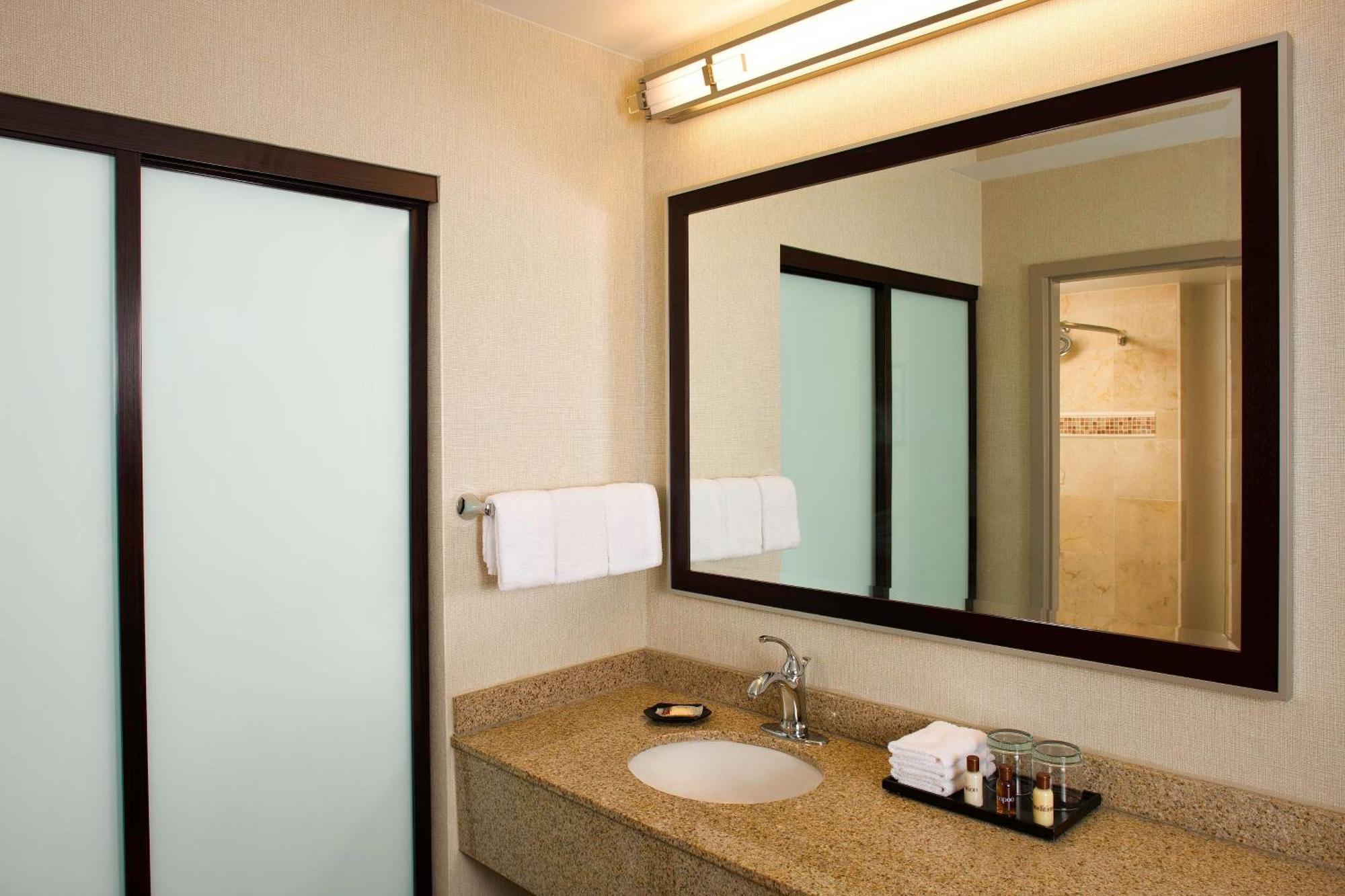 1 Bedroom Suite 1 King Sofa bed
