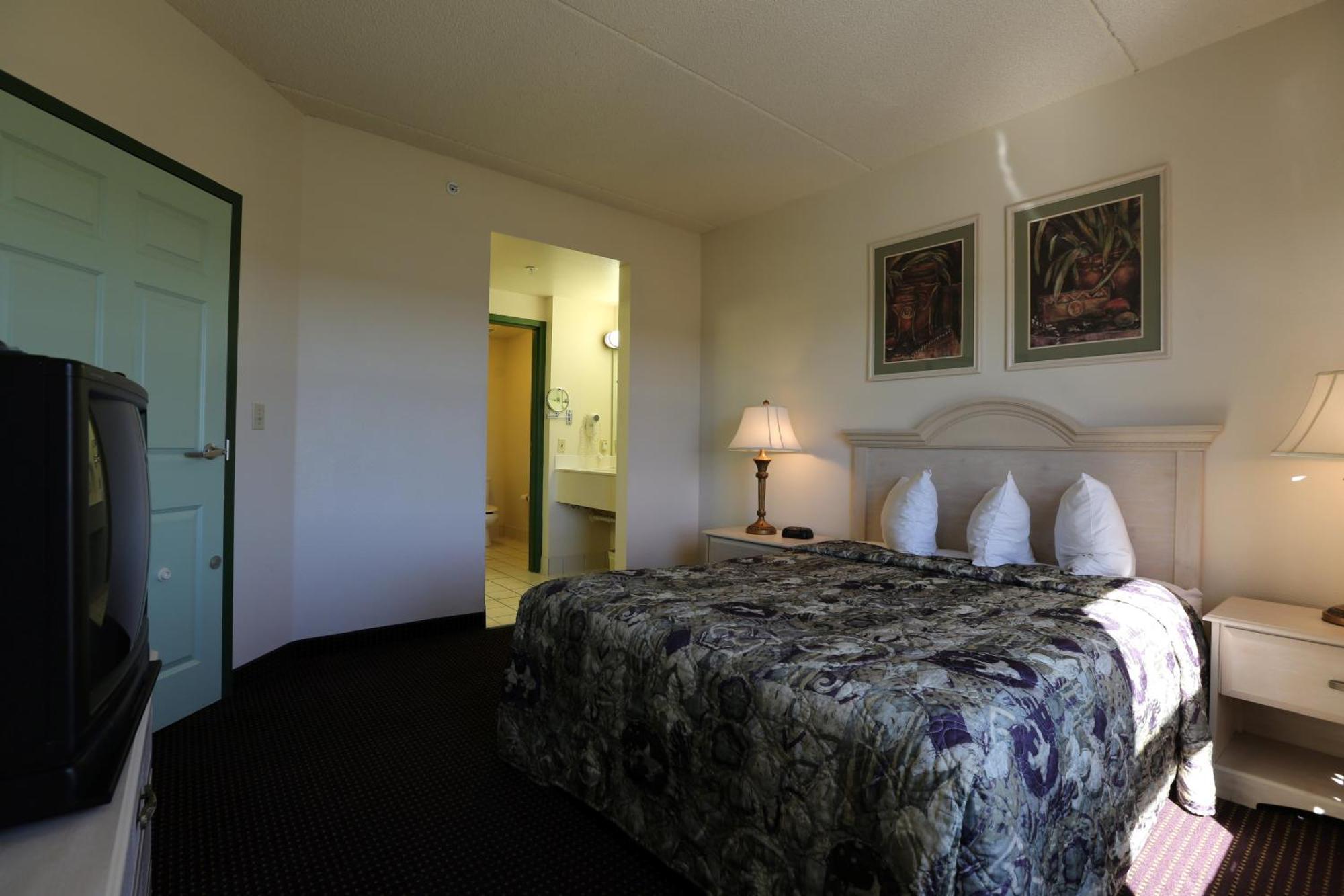 One Bedroom Queen Suite