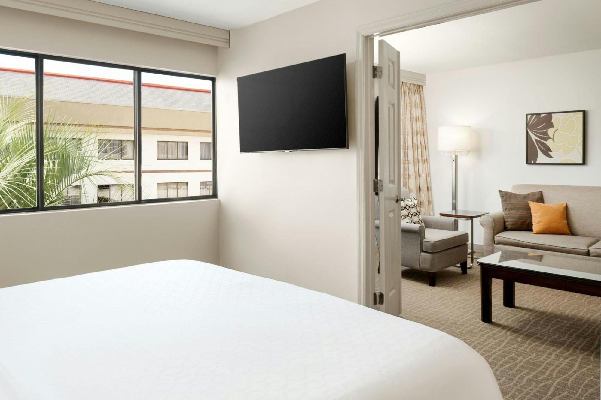 1 Bedroom Suite 1 King Sofa bed