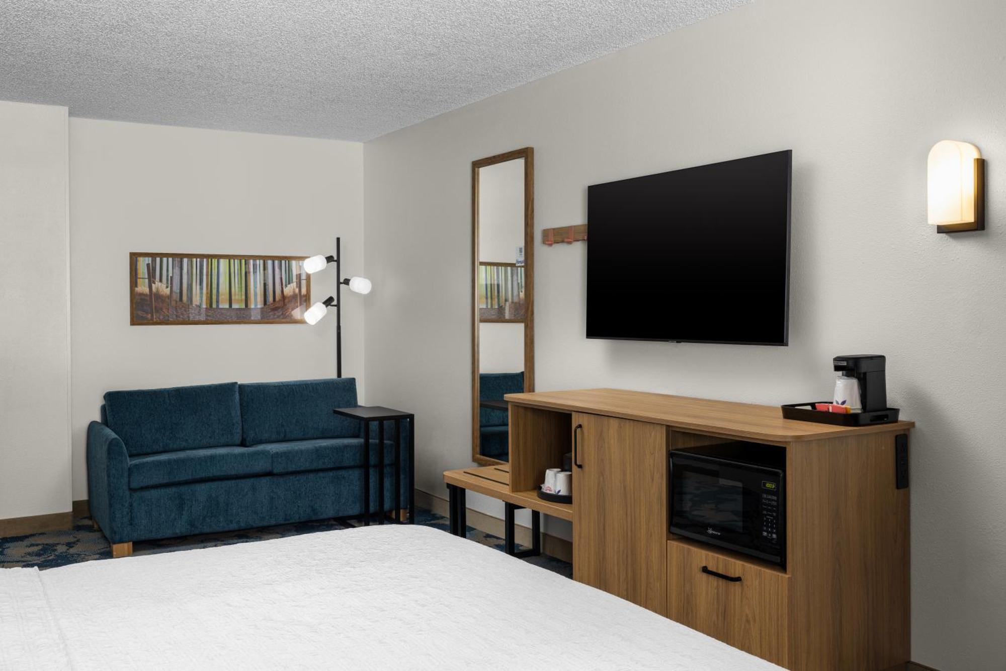Larger Room 1 King Bed & Sofa Bed