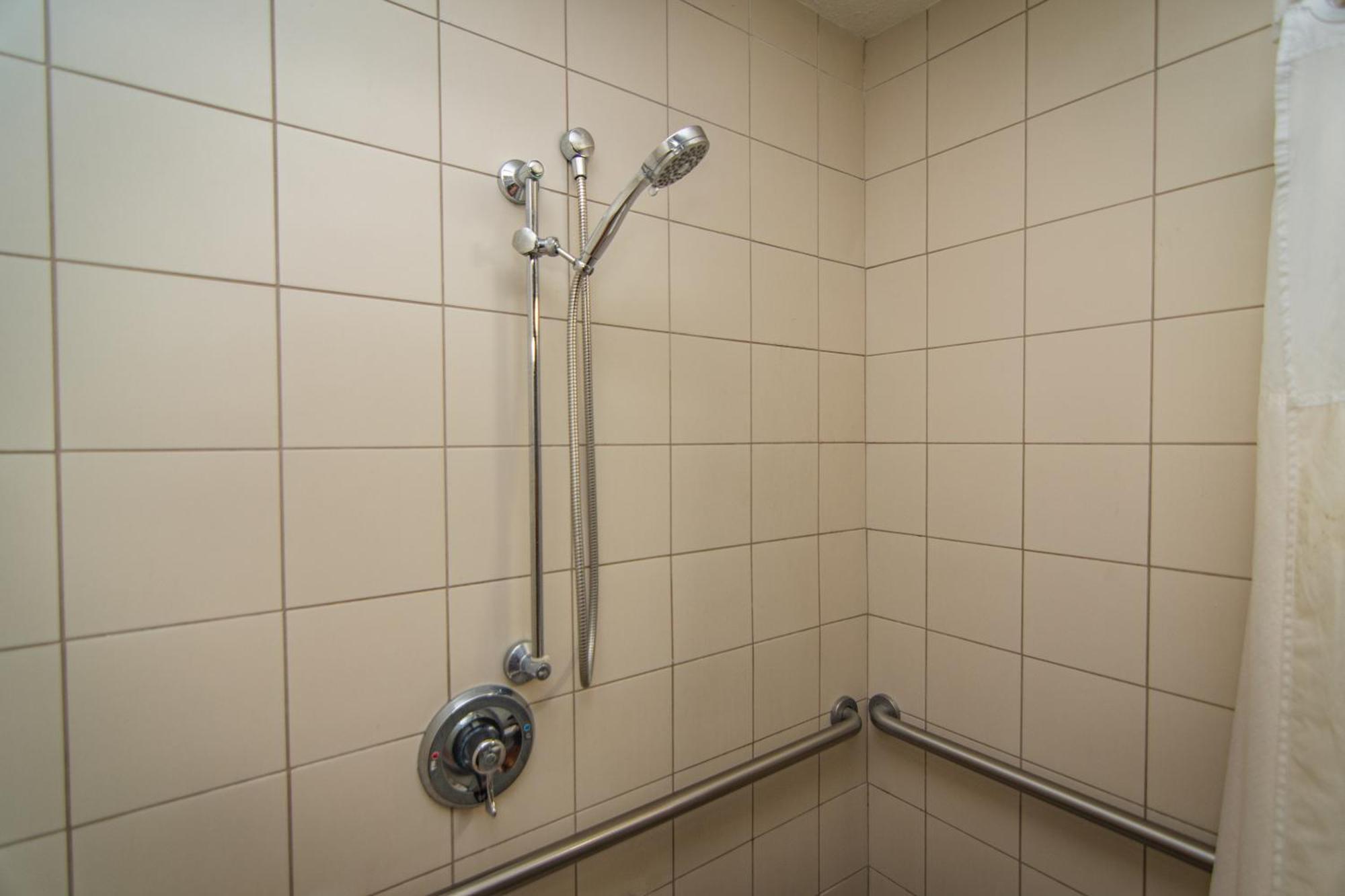 Queen Room Disability Access Roll Shower