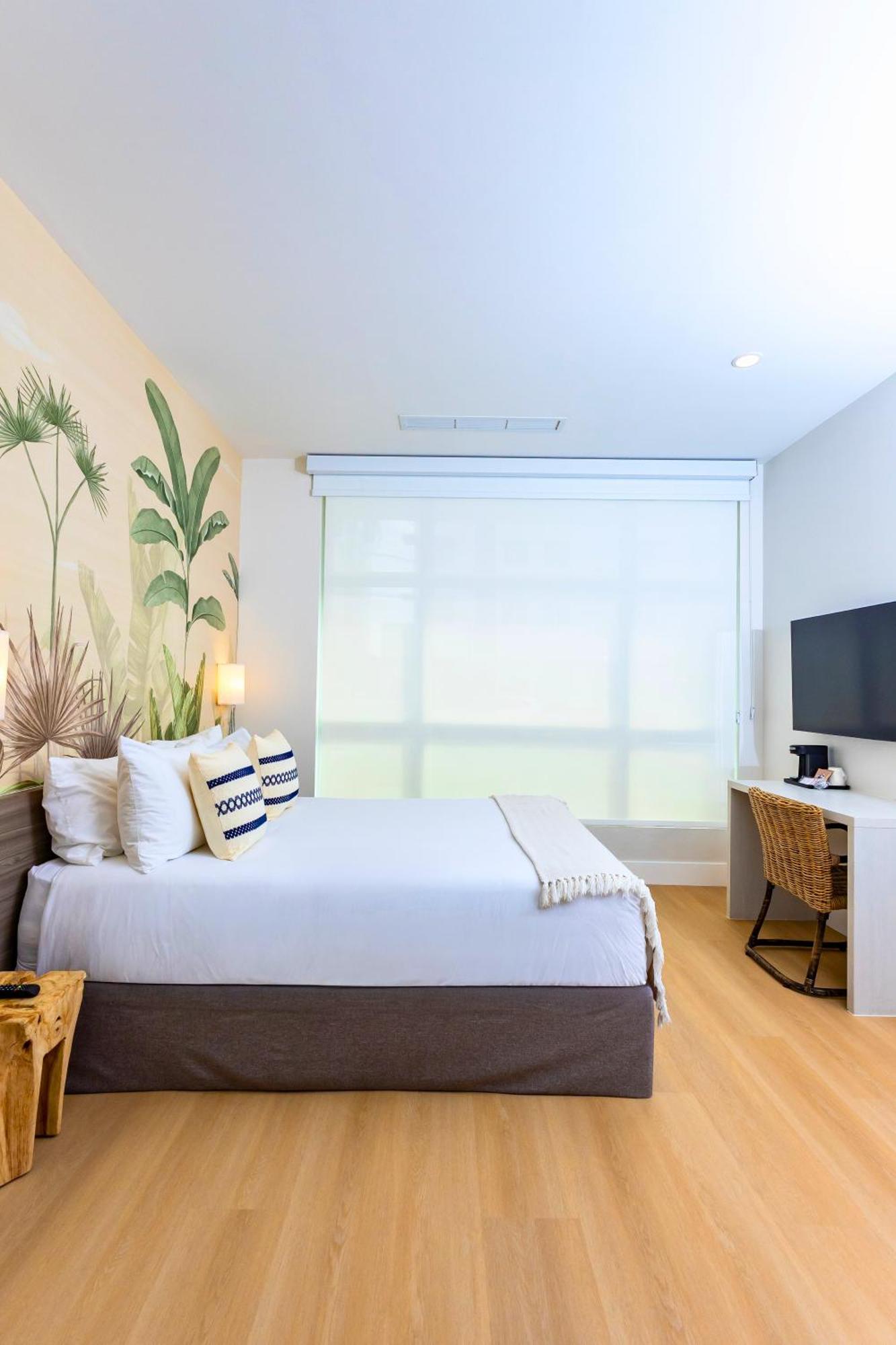 Habitación adaptada para personas con movilidad reducida - Cama grande