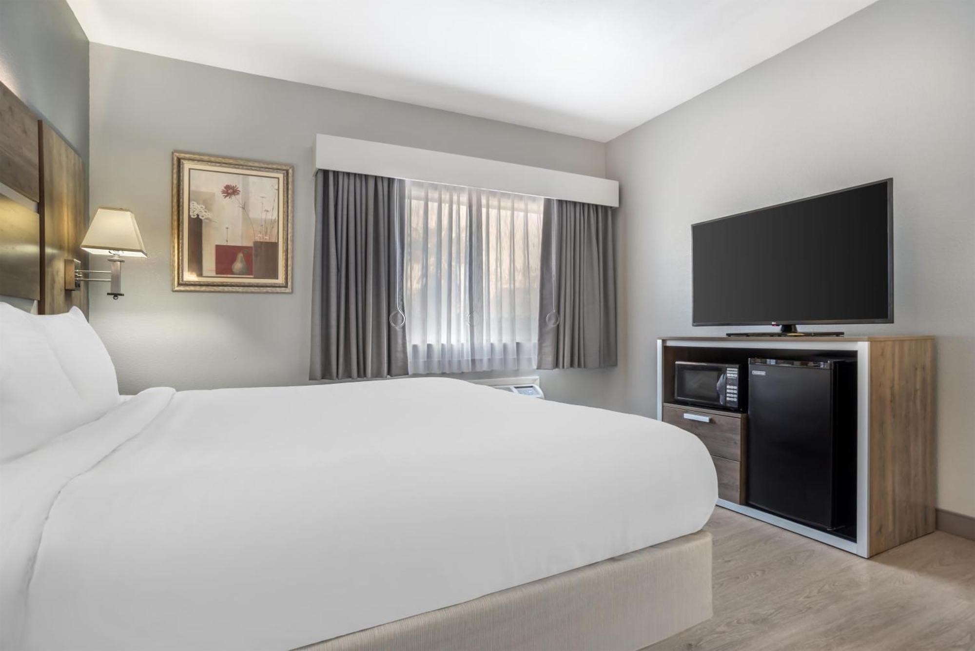 King Room with Roll-In Shower - Mobility Access/Communication Assistance,1758549060:JPEG