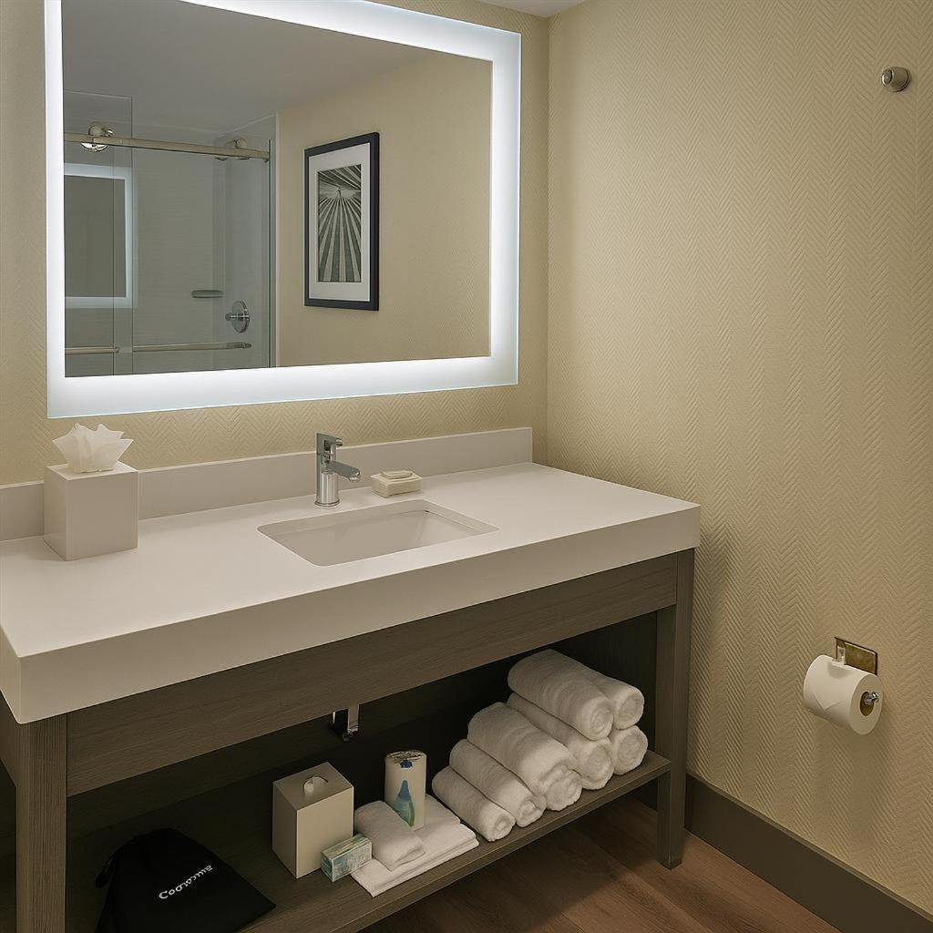 Habitación Deluxe - 1 cama grande