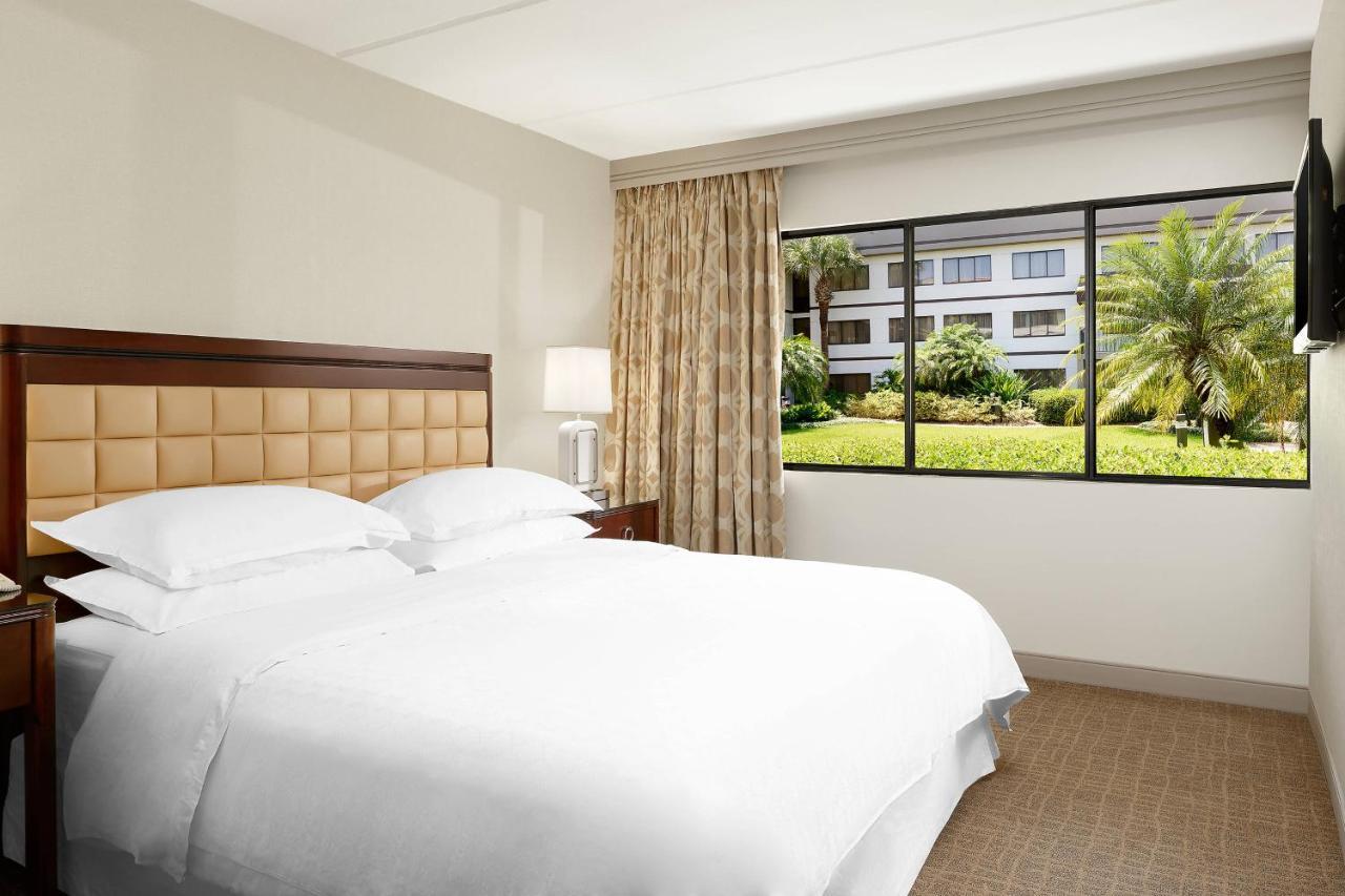 1 Bedroom Suite 1 King Sofa bed