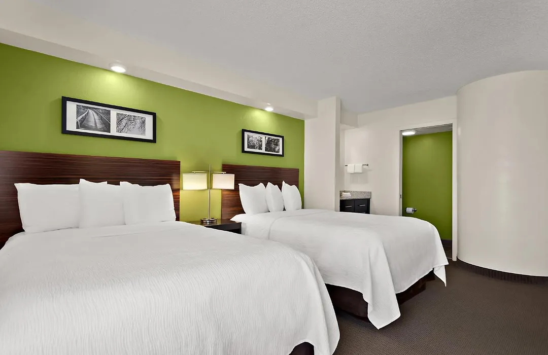 Spot X Hotel Tampa - Wesley Chapel By The Red Collection-1