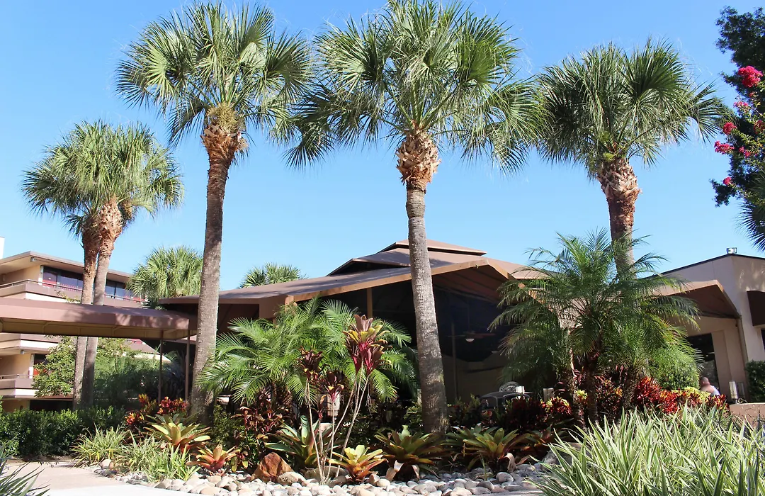 Rosen Inn at Pointe Orlando-1