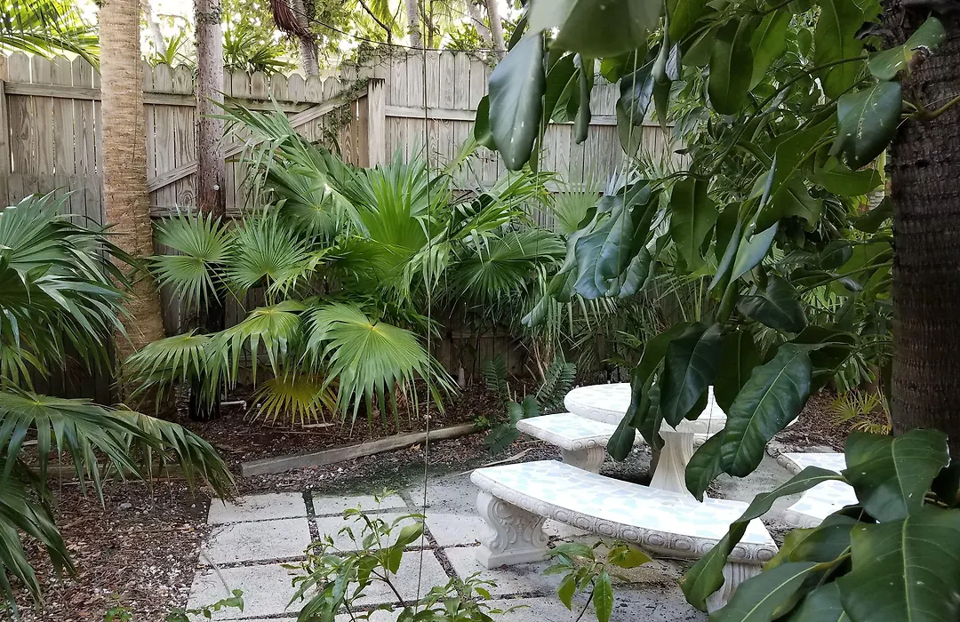Alexander Palms Court - No Hidden Resort Fees!-1