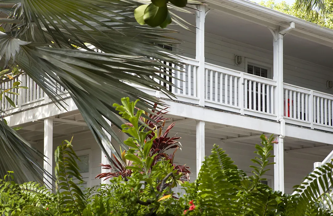 Paradise Inn - Adult Exclusive-1