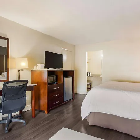 SureStay Hotel by Best Western Sarasota Lido Beach-2