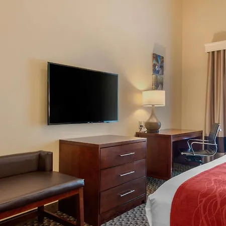 Comfort Inn & Suites Fort Myers Airport-2