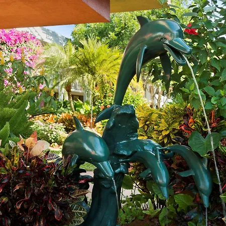 Collins Hotel Naples-2
