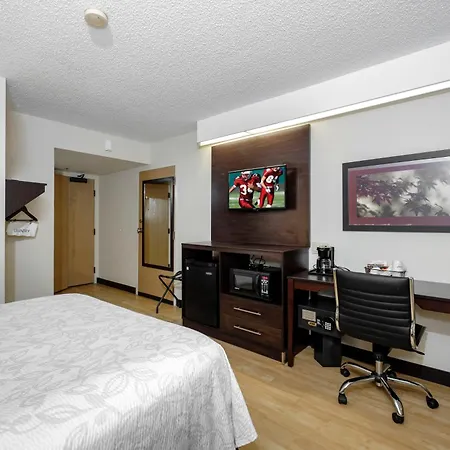 Red Roof Inn Plus+ Palm Coast-2