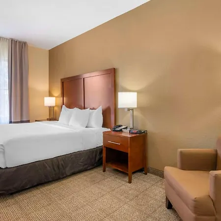 Comfort Inn & Suites Northeast - Gateway-3