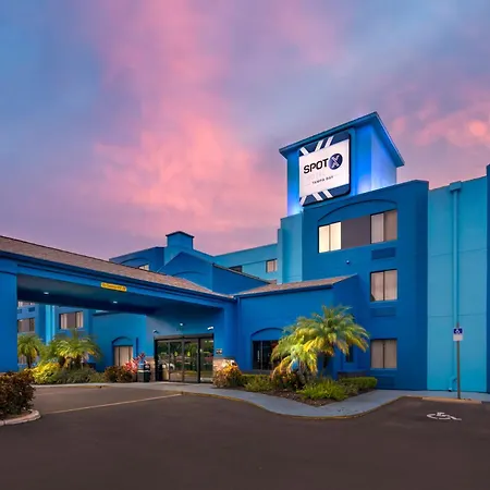 Spot X Hotel Tampa - Wesley Chapel By The Red Collection-3