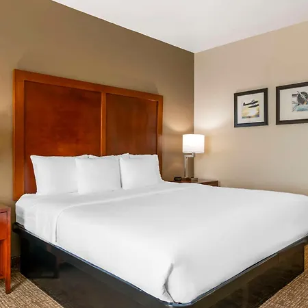Comfort Inn & Suites Tavares North-3