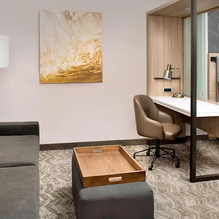 Springhill Suites By Marriott Punta Gorda Harborside-3