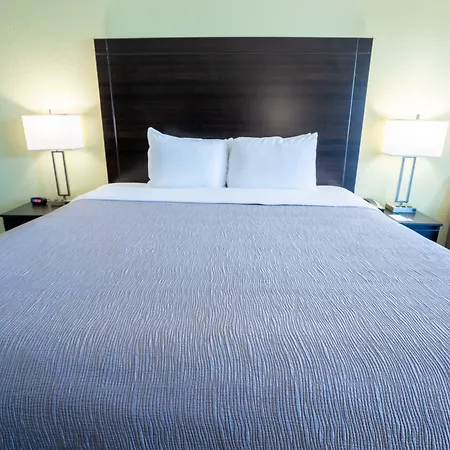 Quality Inn Palm Beach International Airport-3