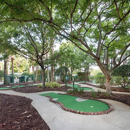 Springhill Suites By Marriott Orlando Lake Buena Vista South-2