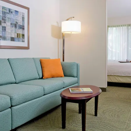 Springhill Suites Sarasota Bradenton-3
