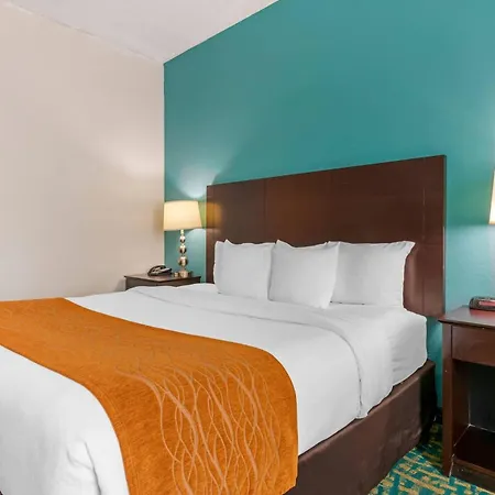 Comfort Inn & Suites Fort Lauderdale West Turnpike-3