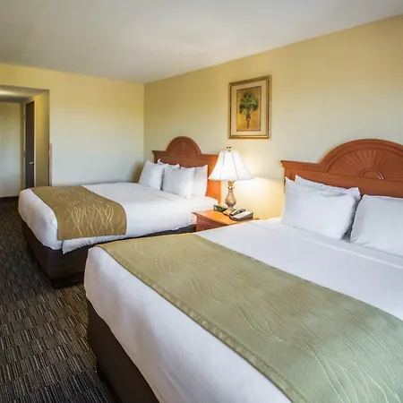 Comfort Inn & Suites Jupiter I-95-3