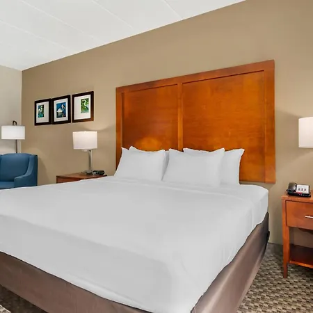 Comfort Inn & Suites Wildwood - The Villages-3