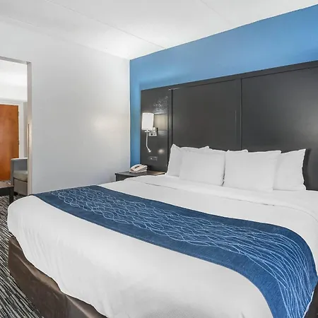 Comfort Inn Gainesville - University Area-3