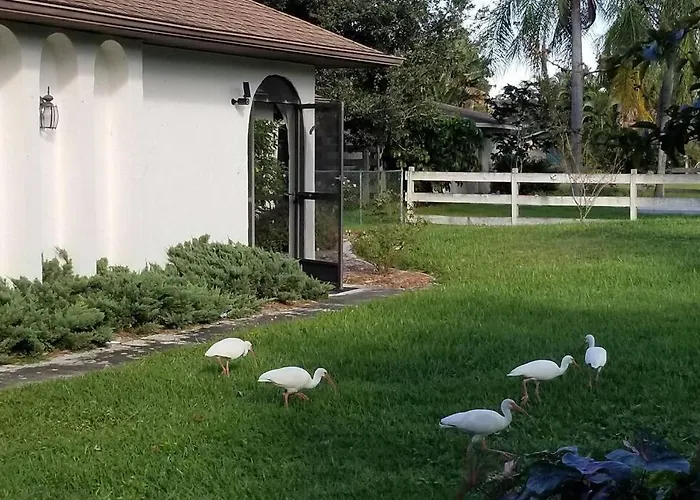 Bonita Oasis