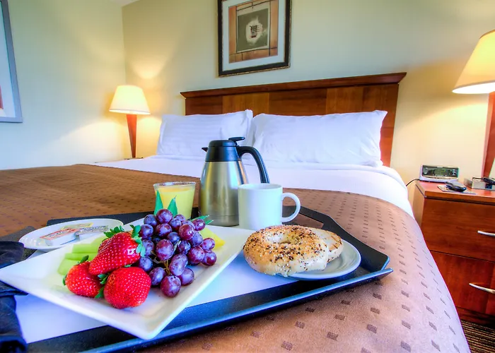 Holiday Inn Tampa Westshore - Airport Area By Ihg