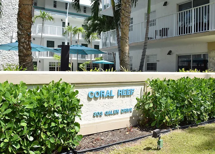 Coral Reef At Key Biscayne