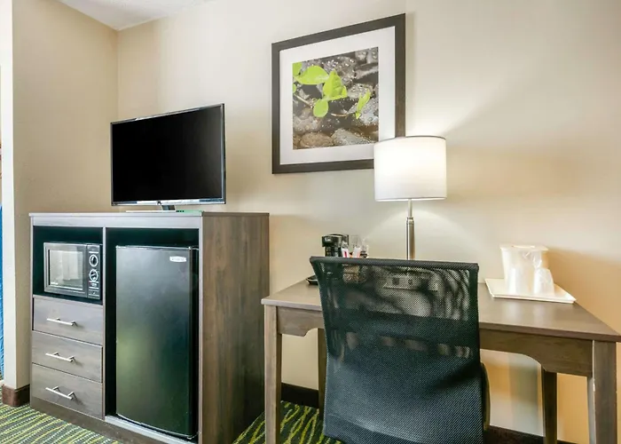 Quality Inn & Suites Leesburg Chain Of Lakes