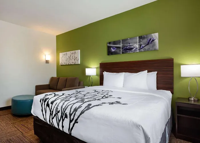 Sleep Inn & Suites Tampa South