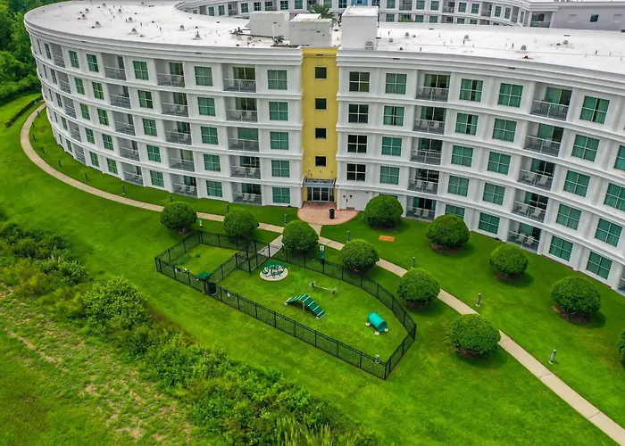 Pet Friendly In Orlando Area Near Disney