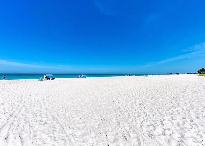 Anna Maria Island Beach Palms 6B