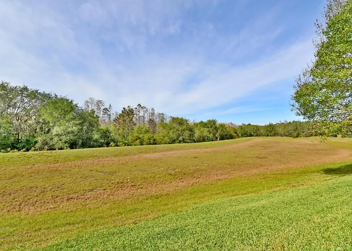 513Birk- Southern Comfort