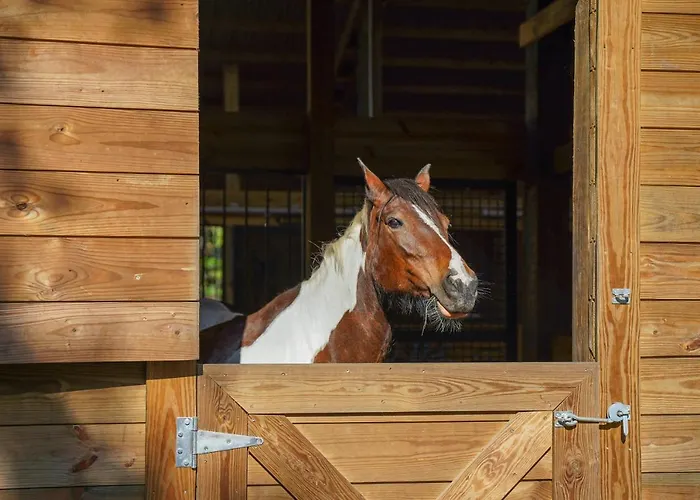 Farm Stay: Modern Barndominium In Lakeland!
