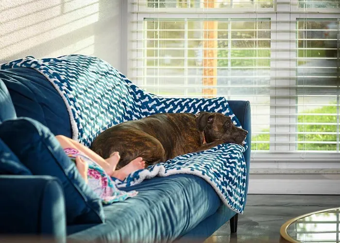 Charming Family Oasis ~ Dog-Friendly ~ Backyard