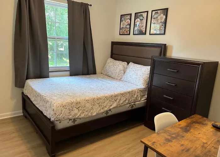 Zenhomes In Brandon Near Tampa Valrico Seffner