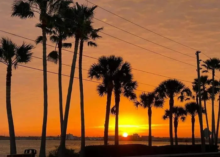 Romance In The City 1 Bdrm Studio In Downtown St Pete